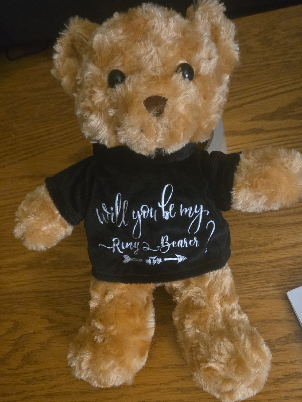 Tan Plush Teddy Bear with Black Shirt - Kids Toy